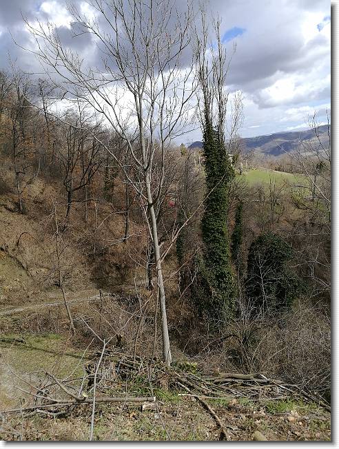 Clicca per scorrere le foto originali ingrandite
