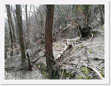 IMG_20180313_121626 * cof * cof * 3968 x 2976 * (3.22MB)