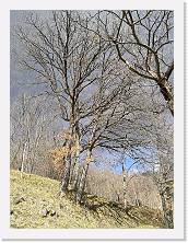 IMG_20180313_133620 * cof * cof * 2976 x 3968 * (3.92MB)