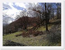IMG_20180313_133927 * dav * dav * 3968 x 2976 * (3.1MB)