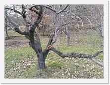 IMG_20180313_150318 * cof * cof * 3968 x 2976 * (3.23MB)