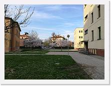 IMG_20180406_183835_1 * cof * cof * 3968 x 2976 * (2.14MB)