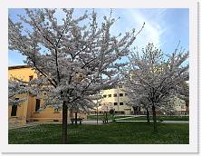 IMG_20180406_183957 * cof * cof * 3968 x 2976 * (2.61MB)