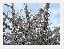 IMG_20180406_184220 * cof * cof * 3968 x 2976 * (2.49MB)
