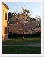 IMG_20180407_073230 * cof * cof * 2976 x 3968 * (1.05MB)