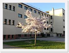 IMG_20180407_073721 * cof * cof * 3968 x 2976 * (1.66MB)