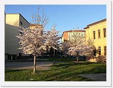 IMG_20180407_073730 * cof * cof * 3968 x 2976 * (2.1MB)