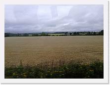 P1080861a * cof * cof * 3968 x 2976 * (396KB)