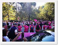 IMG_20180923_095753 * cof * cof * 3968 x 2976 * (2.45MB)