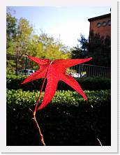 IMG_20181118_130150_1 * cof * cof * 2976 x 3968 * (456KB)