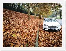 IMG_20181123_110018_1 * cof * cof * 3968 x 2976 * (2.46MB)