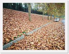 IMG_20181123_110043 * cof * cof * 3968 x 2976 * (2.63MB)