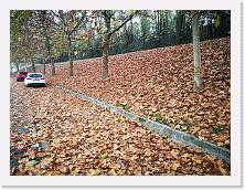 IMG_20181123_110103 * cof * cof * 3968 x 2976 * (2.71MB)