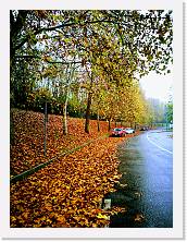 IMG_20181123_141026-EFFECTS * 2976 x 3968 * (3.75MB)