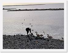 P1090094c * cof * cof * 3968 x 2976 * (690KB)