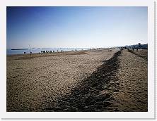 IMG_20190217_112341_1 * cof * cof * 3968 x 2976 * (2.27MB)