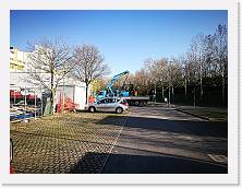 IMG_20190322_083734 * cof * cof * 3968 x 2976 * (2.8MB)
