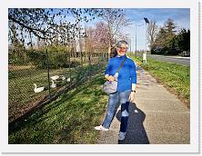 IMG_20190316_162035 * sdr * sdr * 3968 x 2976 * (3.26MB)
