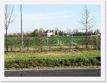 IMG_20190316_162534 * dig * dig * 3968 x 2976 * (835KB)