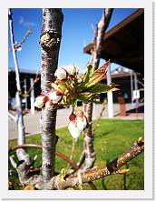 IMG_20190317_133500 * cof * cof * 2976 x 3968 * (648KB)