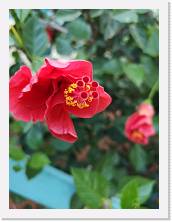 AA26_191923 * 2736 x 3648 * (295KB)