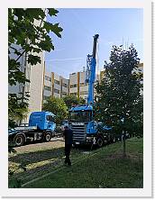 IMG_20190829_094842 * 2736 x 3648 * (4.18MB)