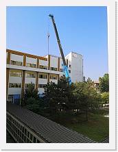 IMG_20190829_102634 * 2736 x 3648 * (2.98MB)