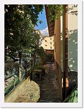 IMG_20190729_190300 * rhdr * rhdr * 2736 x 3648 * (2.17MB)
