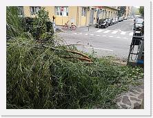IMG_20191015_093337 * 3648 x 2736 * (5.92MB)