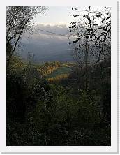 IMG_20191117_154955 * 2736 x 3648 * (2.0MB)