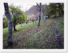 IMG_20191117_155632 * 3648 x 2736 * (2.62MB)