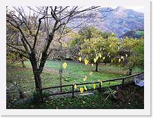 IMG_20191117_155937 * 3648 x 2736 * (2.97MB)