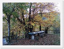 IMG_20191117_155953 * 3648 x 2736 * (3.18MB)