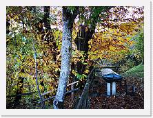 IMG_20191117_160016 * 3648 x 2736 * (3.21MB)
