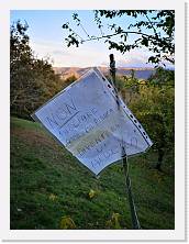 IMG_20191117_160023 * 2736 x 3648 * (925KB)
