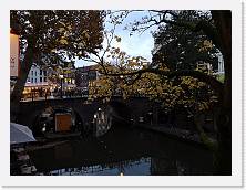 IMG_20191114_163915 * 3648 x 2736 * (1.7MB)