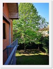 IMG_20200415_092049 * 2736 x 3648 * (2.59MB)