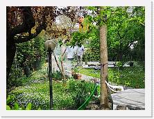 IMG_20200413_131558 * 3648 x 2736 * (2.46MB)