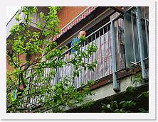 IMG_20200413_131606 * 3648 x 2736 * (1.8MB)