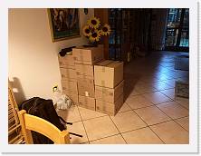 IMG_20200507_201621 * 3648 x 2736 * (436KB)