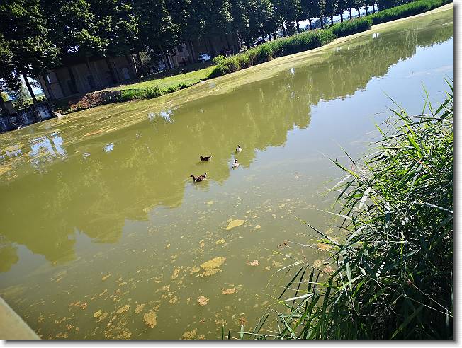 Clicca per scorrere le foto originali ingrandite