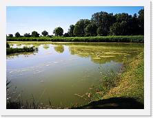 IMG_20200620_173340 * 3648 x 2736 * (2.04MB)