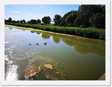 IMG_20200620_173520 * 3648 x 2736 * (1.69MB)