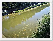IMG_20200620_173803 * 3648 x 2736 * (1.62MB)