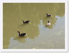 IMG_20200620_173809 * 3648 x 2736 * (277KB)