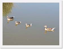IMG_20200620_173832 * 3648 x 2736 * (225KB)
