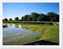 IMG_20200620_174429 * 3648 x 2736 * (1.67MB)