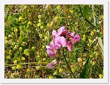 IMG_20200614_162147 * 3648 x 2736 * (1.26MB)