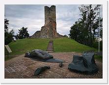 IMG_20200621_171752 * 3648 x 2736 * (2.11MB)