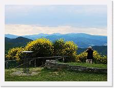 IMG_20200621_172052 * 3648 x 2736 * (1.87MB)